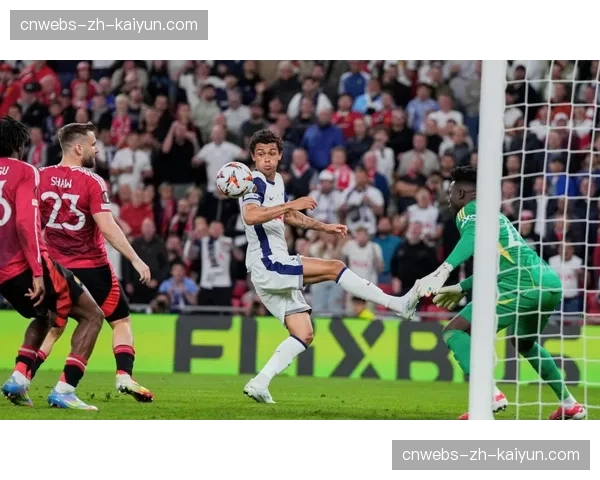 特写：在柏林联主场，球迷赛后自发清理看台垃圾