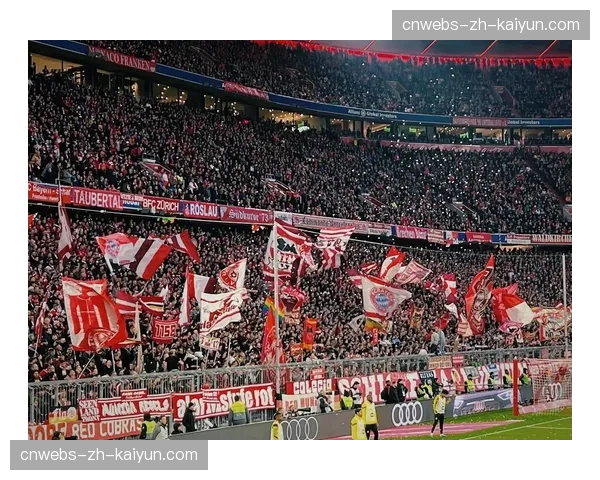 欧足联考察2027年欧冠决赛场地——慕尼黑安联球场